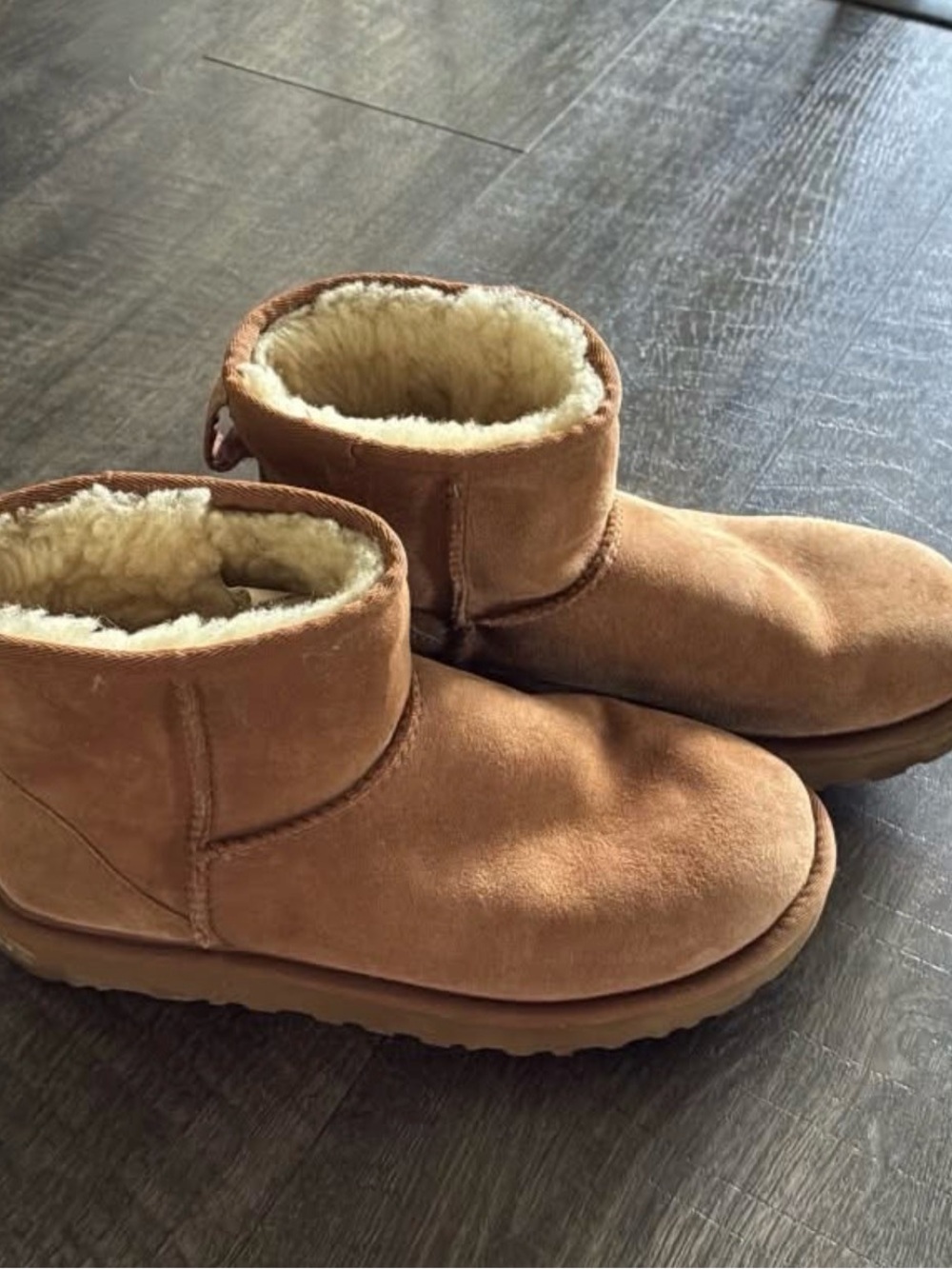 UGG Chestnut Suede Shearling-Lined Ankle Boots